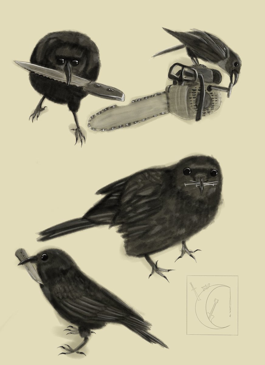 groovyashhell's tweet photo. Birbs committing atrocities https://t.co/yWIw5IS4lS