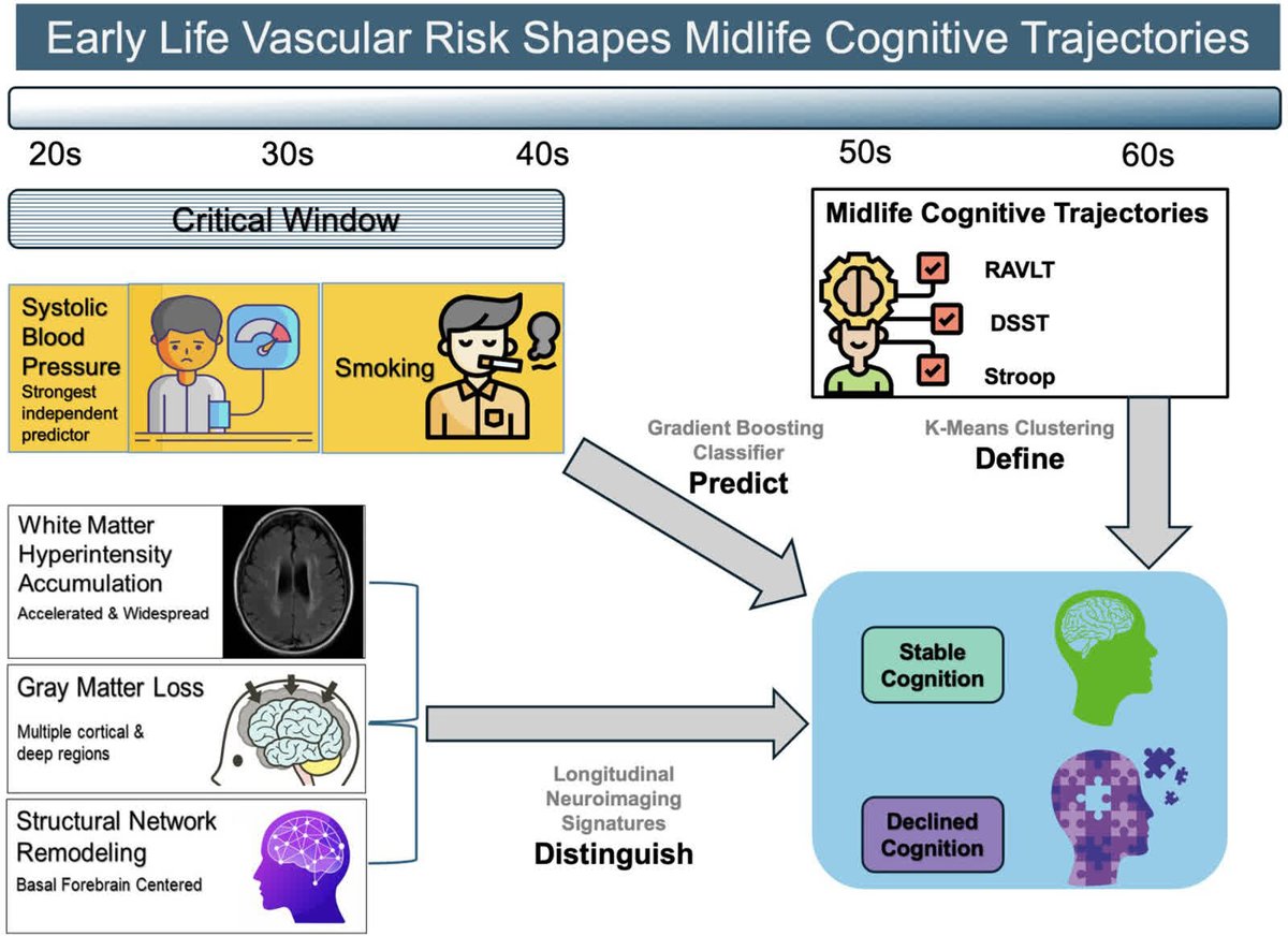 Graphic abstract in Yaghoobi et al.