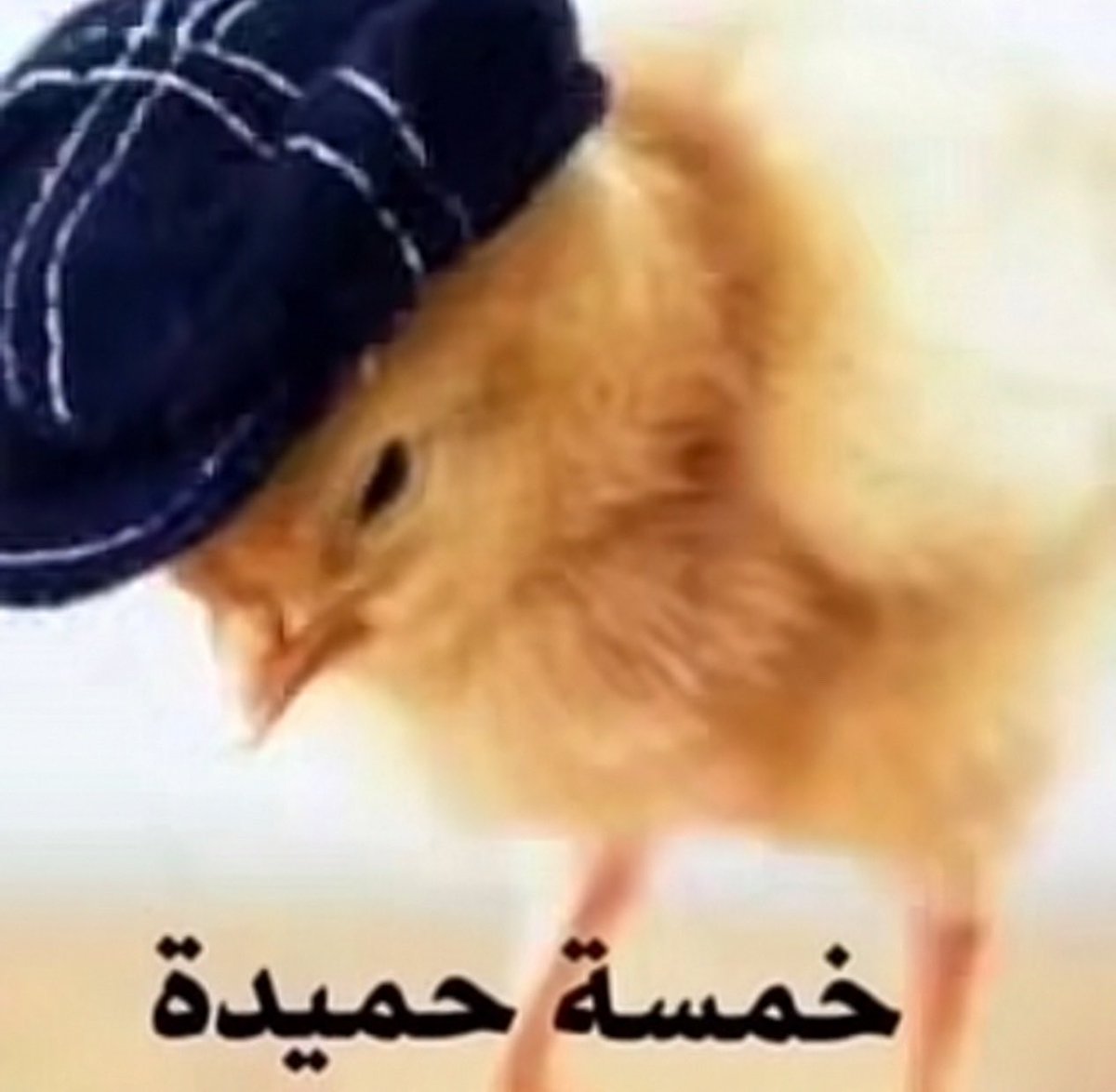faybulouus's tweet photo. 😭😭😭😭😭😭😭😭😭😭 
شكرا للملكه بعد الطوفان https://t.co/kOxjNah2B3
