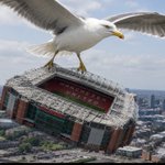 Photo by Charlie_NFFC (@ggdotcom6787)