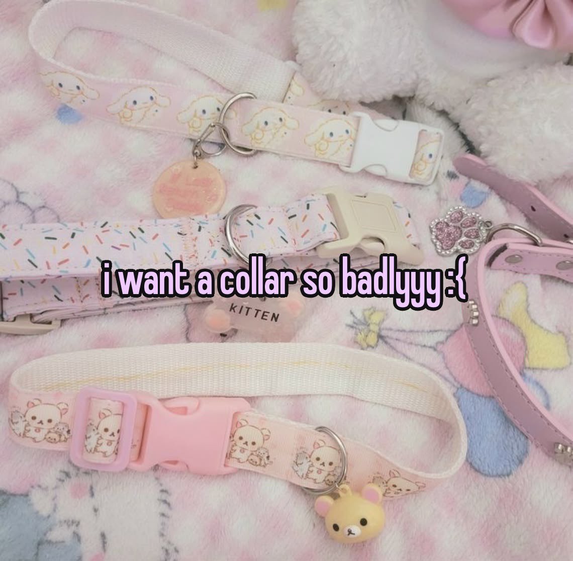 cocobutterpie_'s tweet photo. puppy has a lot of collars but I want a custom one https://t.co/pk20JlHuNE