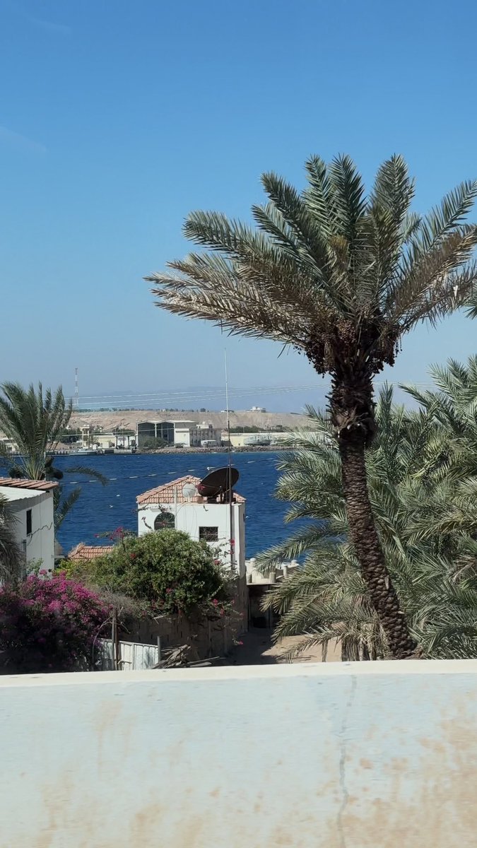 v1ii51's tweet photo. احلى بحر فيك يا السعودييييه 🩵🩵 https://t.co/01wtiBjTma