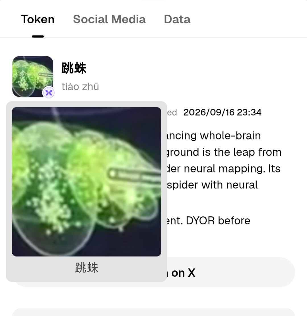 locked419's tweet photo. Seeing this at low mcp 

On $BNB

0x128cd90ccf2a4f1ac5fd0b8129f8300013df7777 https://t.co/vUSPGVHzxk