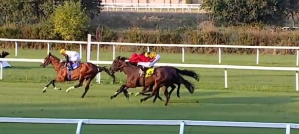 romanella0001's tweet photo. 伊サンシーロ競馬場ハンデ戦（Class1・芝2200）
Saxon Warrior産駒Palazzo Blu（牡4）が出走。出たなりハナ。直線も手応え良く、終盤後続迫って来るも押し切って５勝目（12戦）。 https://t.co/OdNPpOSsn9