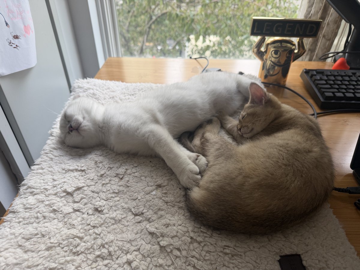 brooke_jamieson's tweet photo. My coworkers are exhausted from generating shareholder value all day https://t.co/Qk3MBVKapr