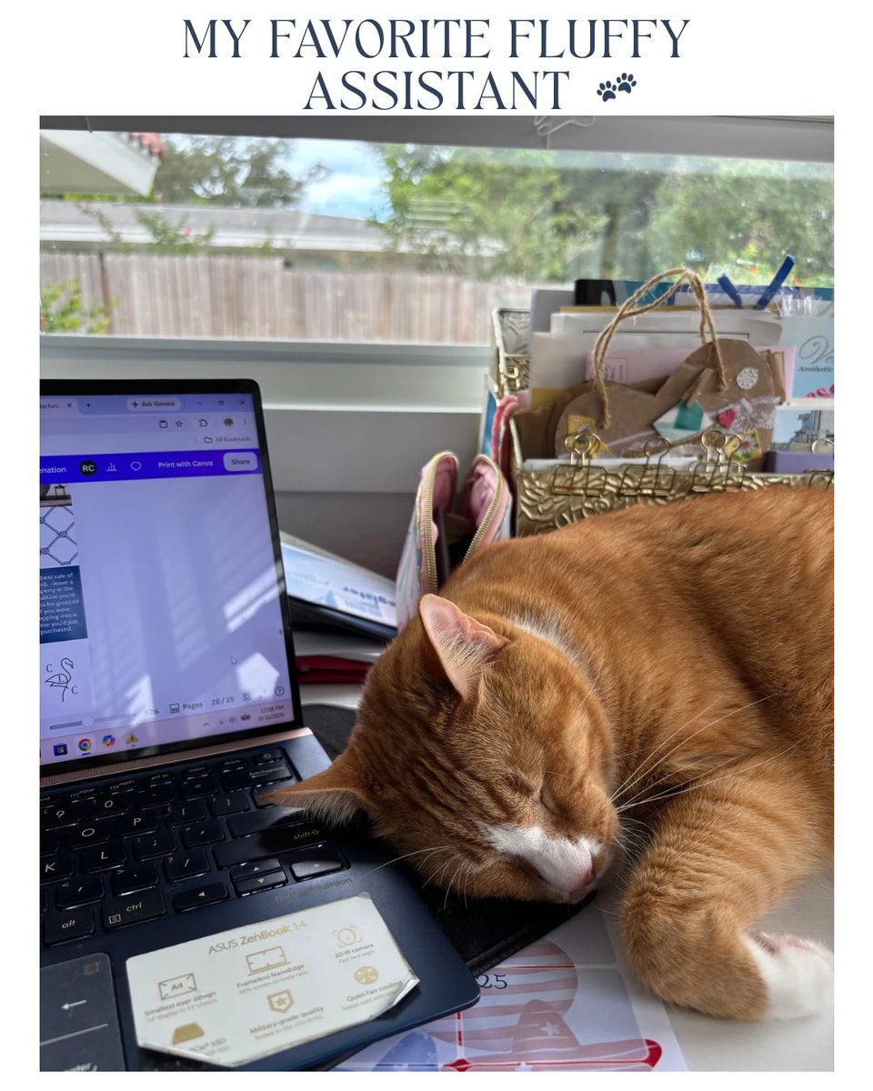 RacheleSellsSRQ's tweet photo. Listing presentation in progress… with my favorite fluffy assistant by my side. 🐾
A little purring makes every busy workday better. 🤍

#sarasota #realtorlife #CatsLover https://t.co/hFvpfYlGNV