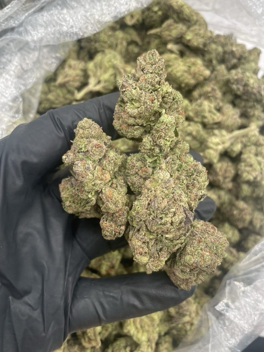 AshangaEvans's tweet photo. Not tryna cap but if you are in Houston and 🫵 haven’t shop from me 🫵🏼re playin fr I’m mobile wya #houstonplug #weed #houstonmeets #houston #deliver #houstonbestplug #zaza #springplug #cypressplug #katyplug #northsideplug #htxlinkup #htxsnow #drgtwt
#htxdrug https://t.co/jNFV3XD91f
