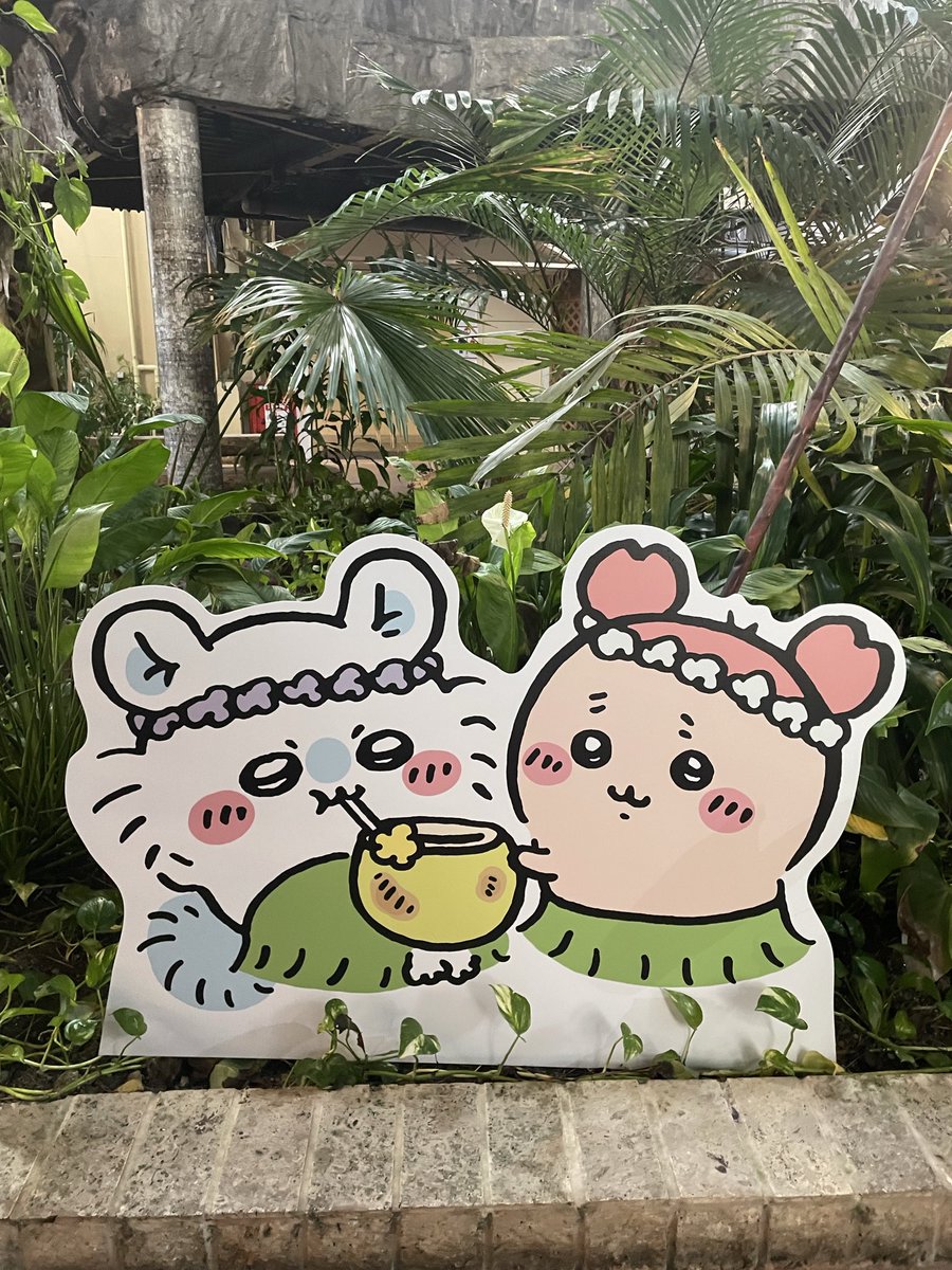 _MO22O's tweet photo. お姉ちゃんがわざわさ遠くから来てくれて付き合ってくれました😭🤍🙏🏻感謝💫 https://t.co/XDSxnCBXd2