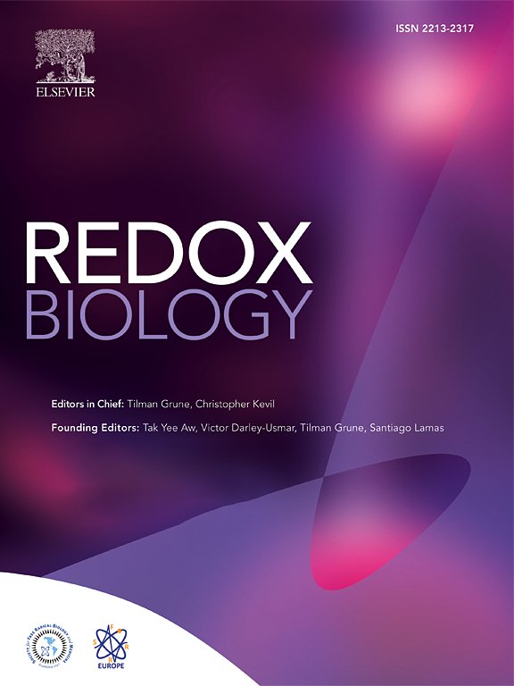RubenQC_Lab's tweet photo. It is out! 🎉 Proud to contribute to this team effort by referents in the ROS field. 
Beyond advancing our understanding of #mitochondria(l) #bioenergetics and #redox, we present a resource with clear workflows to guide research🔬👇 
https://t.co/Z8dAtxG2yz https://t.co/Cm4k2U6aY0