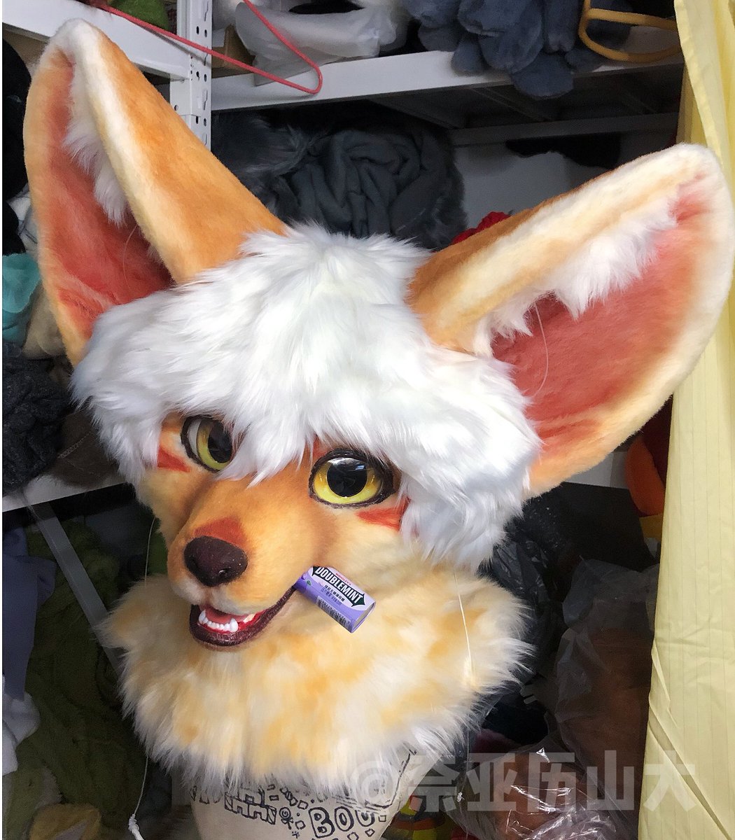 Anason_2333's tweet photo. 🪡🦊It’s finished! It’s a fennec fox! It looks super cute even without hair ☺️ I really loved how it looked hair‑free, so I made detachable hair for it! 😆
#fursuit 
#realisticfursuit 
#fursuitcommissions https://t.co/5r32pW7jST