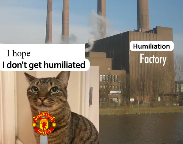 stefayylmao1's tweet photo. being a manchester united fan in current day https://t.co/zwcYlM8Z8S