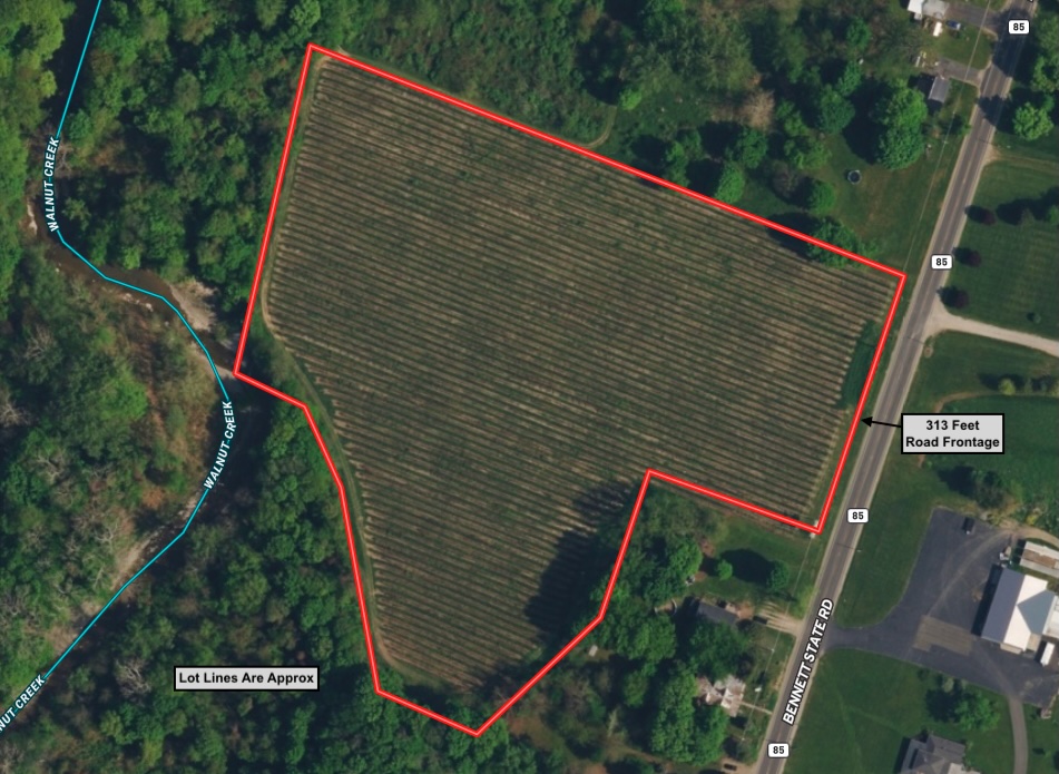 NYLandQuest's tweet photo. VINEYARD on 8 acres in Forestville NY.  Entire property is a vineyard, and is a great opportunity for a farmer to continue.  Build your home or cabin with electric and natural gas available.  $49,900.  https://t.co/PP0cI9Z55f @NYLandQuest #vineyard #buildingsite #nylandforsale https://t.co/URnHkLOB06