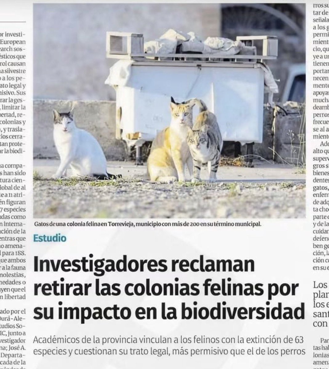 RosaTristan's tweet photo. Años los científicos y naturalistas alertando del riesgo de las colonias felinas y da igual. Los que dicen querer a los animales.. pero solo a algunos? Es un impacto cada vez mayor. Gatos sueltos a mogollón. Un desastre https://t.co/zf6te8Gj2Q