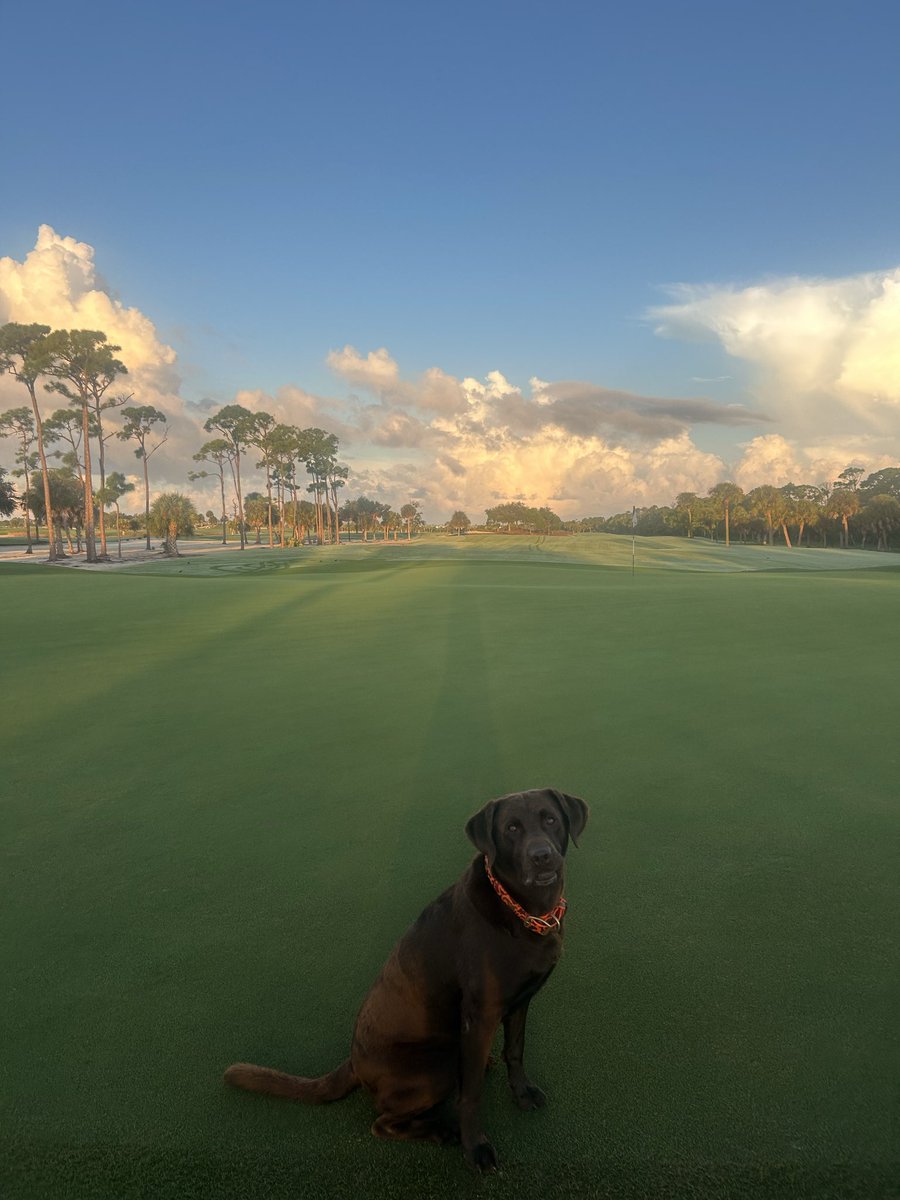 chasecaison's tweet photo. I’m excited to share that I’ve officially started a new chapter as Golf Course Superintendent at Coral Creek Club. 

I’m incredibly grateful for my time at Vaquero and want to sincerely thank everyone who supported me, guided me, and helped me along the way! https://t.co/Q1hURpjfoj