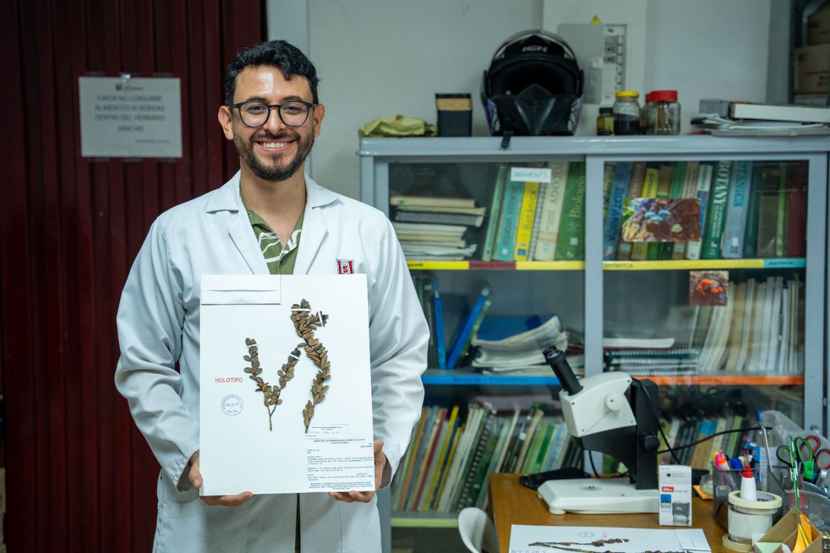 CAMHUILA's tweet photo. #NoticiasCAM 🗣️💚| Huila suma una nueva especie de flora silvestre para la ciencia 👉🏻 https://t.co/t2O9mbjmLk

La especie fue colectada en el Parque Natural Regional Cerro Páramo de Miraflores y, tras dos años de investigación, fue descrita como nueva para la ciencia. https://t.co/xGjLiWNKl4