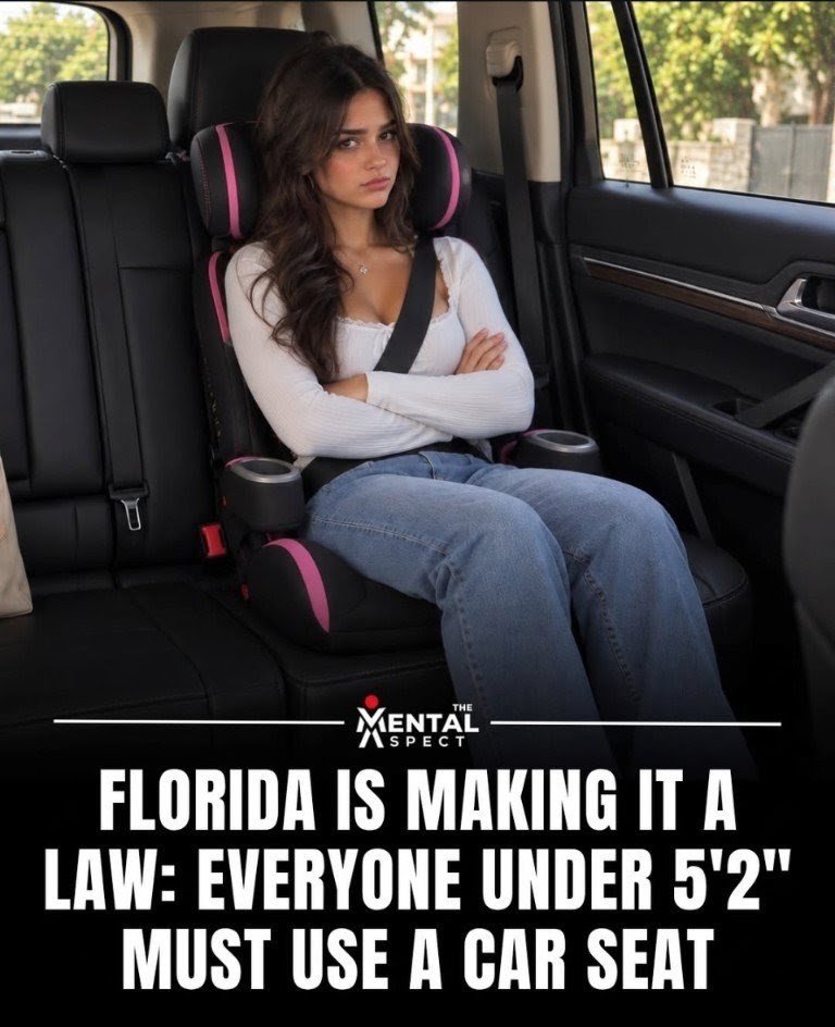 Wicked_Virtue_'s tweet photo. Welp... Time to get a cute carseat 🌸 https://t.co/WcOn44zGg4