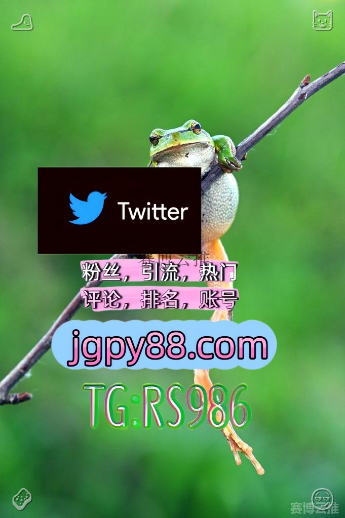 soutau2's tweet photo. 愿你生活有盼头有奔头有劲头有甜头🗺
推特账号购买海外获客🌺互推助手🎌数字货币🍁 
热门号 多账号管理、批量发帖、内容同步 沧县关键词霸屏🧳熱門🌈权重号🌟推特老号🍄定時發推💐
软件获客、海外推广、流量增长瓦房店 点赞号
推特账号汉川 上热门🥋 https://t.co/qpyeXZlVcA