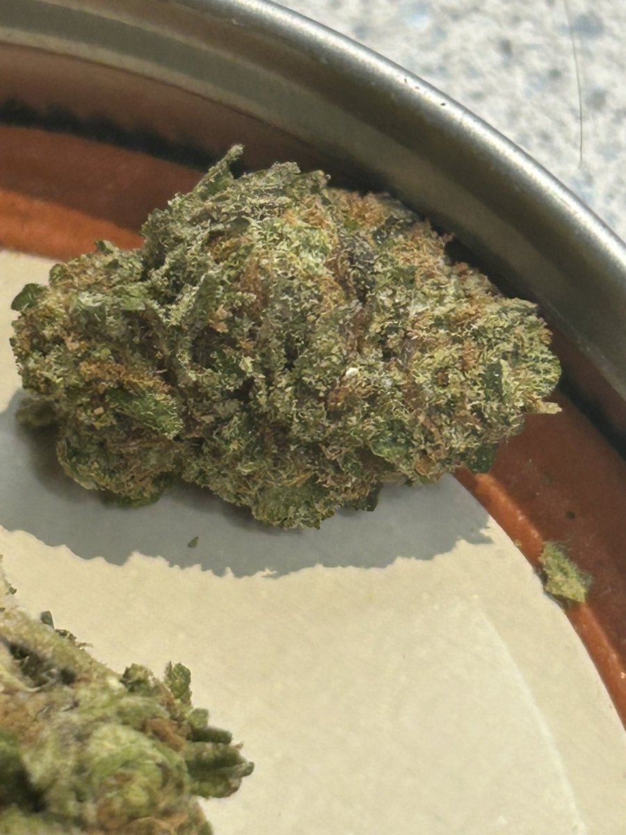StopPlugPricing's tweet photo. Gas Alert!!🚨
- Cali gas to ✈️ you !⛽️
- Pink Certz $39zip!! 
#cannabis #Hemp #weed

Get it here 👇🏻
https://t.co/Eos2sAavTq https://t.co/8VX6WBTqTB
