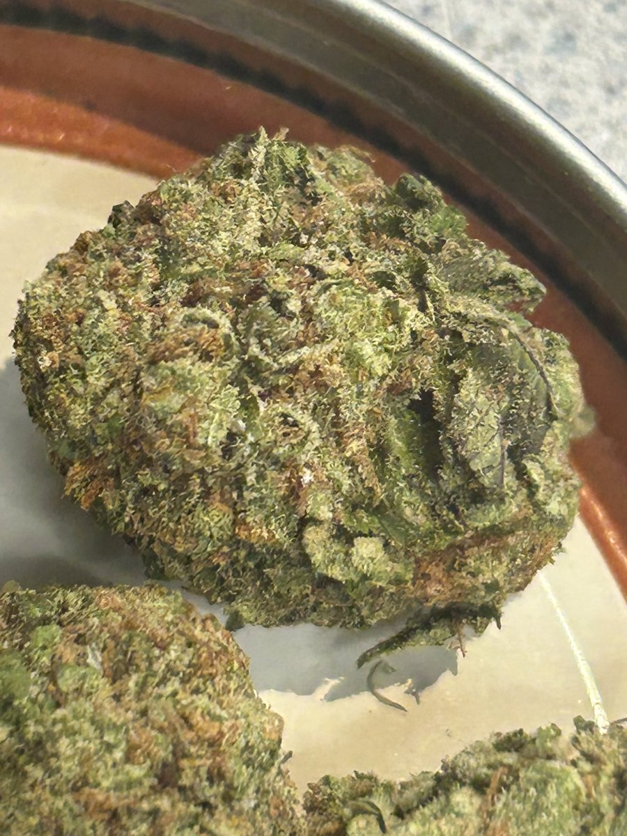 StopPlugPricing's tweet photo. Gas Alert!!🚨
- Cali gas to ✈️ you !⛽️
- Pink Certz $39zip!! 
#cannabis #Hemp #weed

Get it here 👇🏻
https://t.co/Eos2sAavTq https://t.co/8VX6WBTqTB