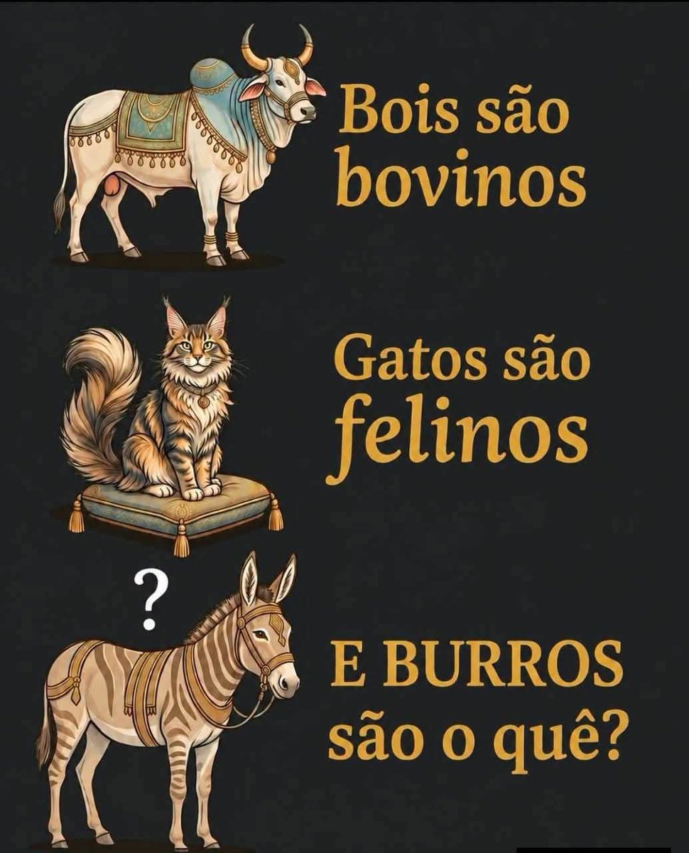 LopesValco's tweet photo. @ElaManuManuela3 @_inscena Eu não entendo, mas gostaria que me ajudasse kkkkk https://t.co/G3aaPw8rxH