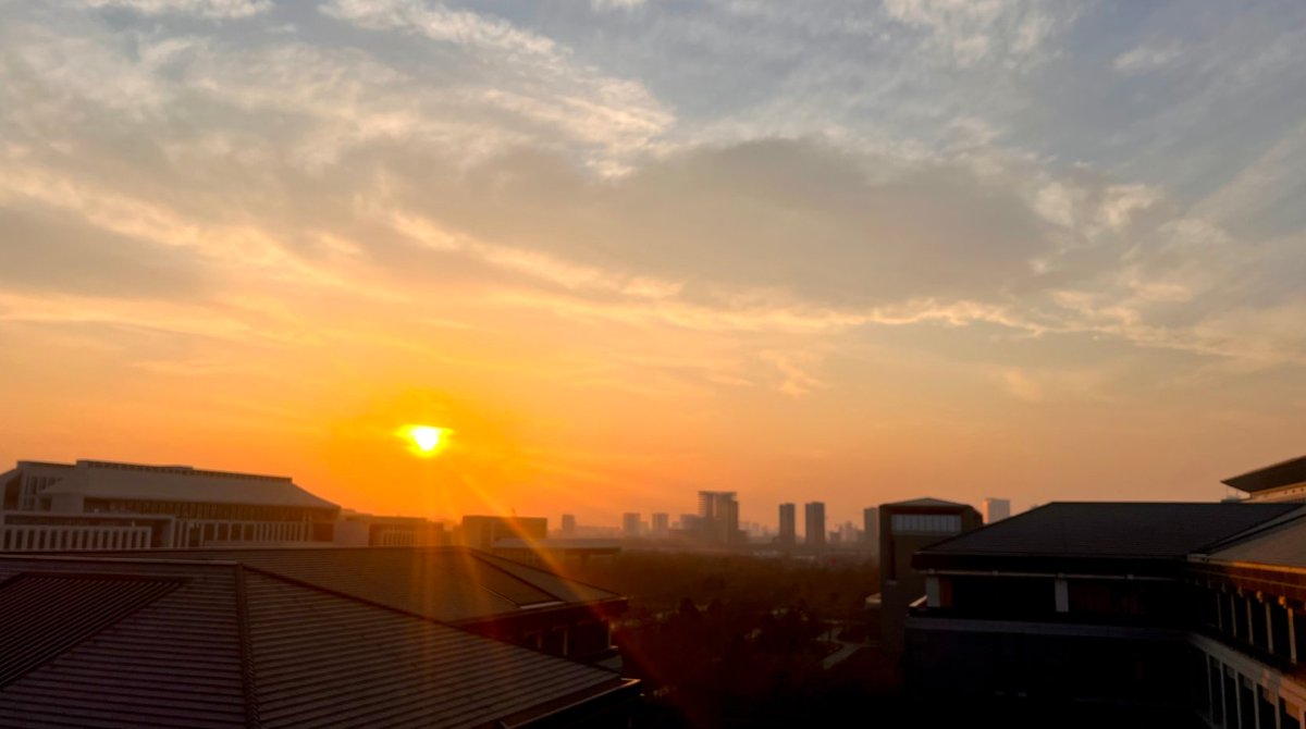 beeta592564's tweet photo. [New to photography Start with mastering natural light—shoot during golden hour (1hr after sunrise/before sunset) for warm, dreamy tones. Forget fancy gear, your phone works! #PhotographyTips]， https://t.co/II5RZAZve8