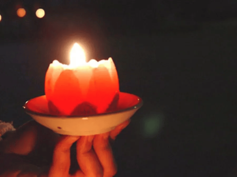 sus0395's tweet photo. Just lit the first candle of Hanukkah, and the warm glow’s already chasing away all the dark days. Happy Festival of Lights to everyone celebrating! https://t.co/xaCxL6eH4h