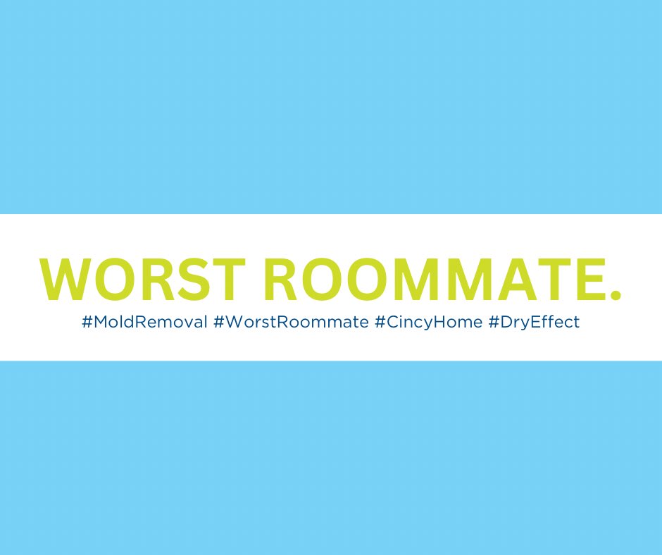 DryEffect's tweet photo. Mold is the worst roommate you never agreed to.

Does not pay rent. Never cleans up. Multiplies without asking.

Time to evict. Free inspection.

📞 513-763-2121 #MoldRemoval #WorstRoommate #CincyHome #DryEffect https://t.co/ZTah5N6bGF