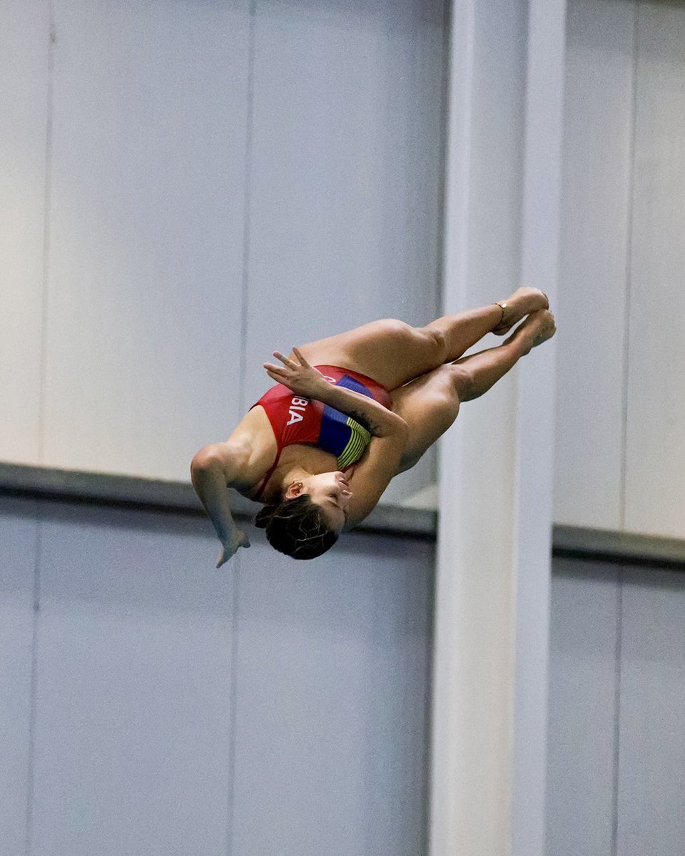 SenalDeportes's tweet photo. #SuramericanosXSeñal 🇨🇴 ¡Brillamos en la piscina! 🏅

🥇 Sebastián Morales, oro en trampolín 1 m.
🥈 Luis Felipe Uribe, plata en la misma prueba.
🥈 Viviana Uribe, subcampeona en trampolín 3 m.
🥉 Jasmin Pistelli, bronce en 200 m espalda.

¡Vamos Colombia! 🇨🇴 https://t.co/8IkkqOFP2T