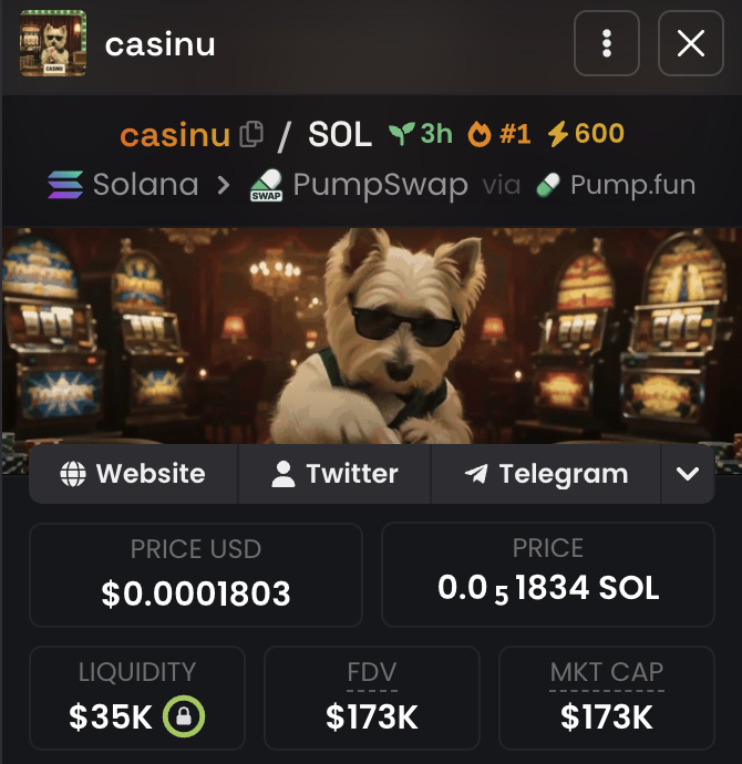 thecasinu's tweet photo. $casinu is here 

drop wallets https://t.co/YD6AC4m2yd
