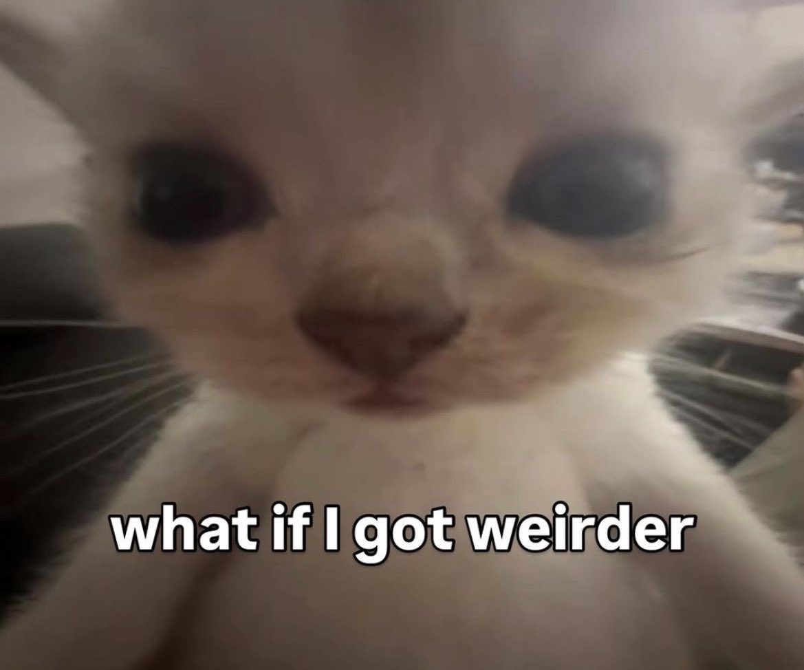 silkybunn_'s tweet photo. Hii my gooblers!! I need some ideas for stream! Not sure what I should do? I do love dancing but mama needs a break once in a while. 

#streaming #newideas #helpmegrow
#Vtuber #gooblers https://t.co/UaiwwnCAPB