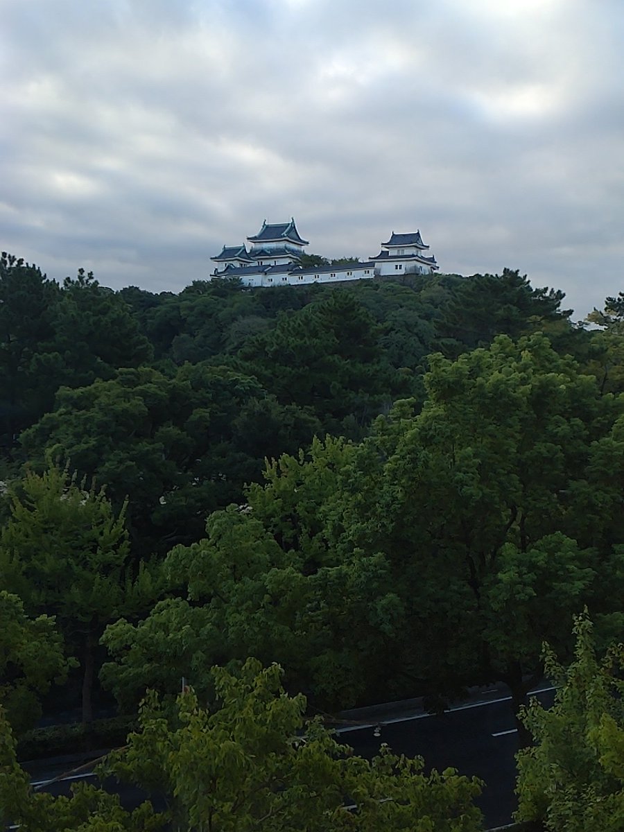 sockskurogohan's tweet photo. おはようございます。＼(^o^)／

今日も笑顔と感謝の気持ちと自衛で良い１日にしましょう＼(^o^)／ https://t.co/dtb8NaFAte
