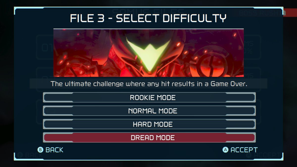AdriWindGB's tweet photo. you're actually fucking insane if you beat the game like this https://t.co/OHKp4JwtDL