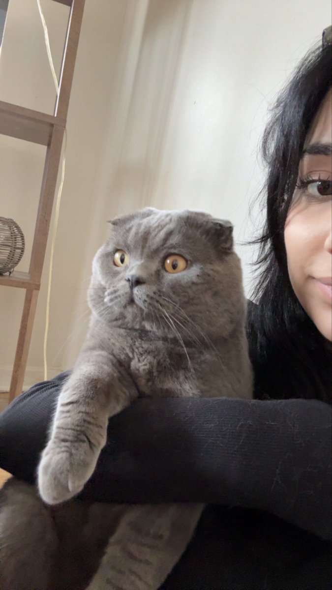 lonetriiii's tweet photo. I’d live for my cat I’d die for my cat I’d kill for my cat https://t.co/4xeubIbWuf