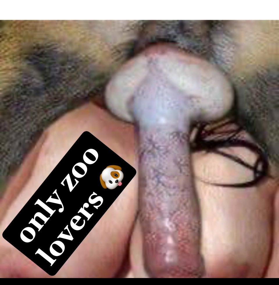 Johnnykentizoo's tweet photo. My favorite antic is when I join the secret world of zoo and then I find out it was a different world 🌎.
Share your fantasy, chat 💬 with slut 🐶🐴👸. 
Ask for content menu 🔗 #zootwt #zoopositivity #bestialities 
#zoo #Horsy #hereforthezooo #incestsisters https://t.co/e3TY7E5JR0