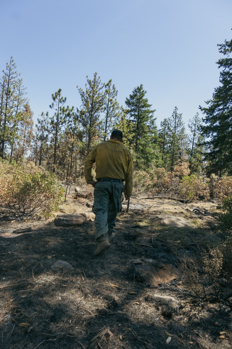 USWFS's tweet photo. When the Bench Fire burned across the Warm Springs Reservation in Oregon, firefighters encountered areas where years of fuels management work by tribal staff, including prescribed fire, timber harvest, mastication and other fuels treatments, had improved conditions across the landscape.

In some treated areas, lower flame lengths and open conditions beneath the tree canopy gave firefighters opportunities to work closer to the fire. Previous treatments also provided an anchor point and safety zone for crews and helped firefighters get around troublesome spot fires while keeping the larger suppression strategy intact. 

The effects of the Bench Fire vary across the landscape, but these areas demonstrate an important benefit of fuels management: changing how fire moves through vegetation can reduce fire severity in some places while creating safer, more effective opportunities for firefighters to respond. 

The work completed by the Warm Springs Reservation before the wildfire helped make a difference when the fire arrived.  

@USIndianAffairs / @BureauIndAffrs / @BIAFireForestry