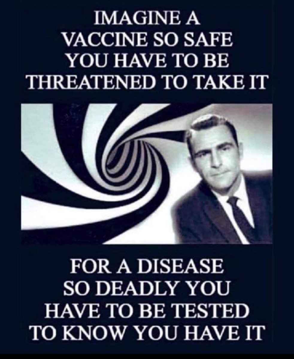 myhiddenvalue's tweet photo. The vaccines killed people 
The PCR test was flawed https://t.co/HQ3CmylrCB