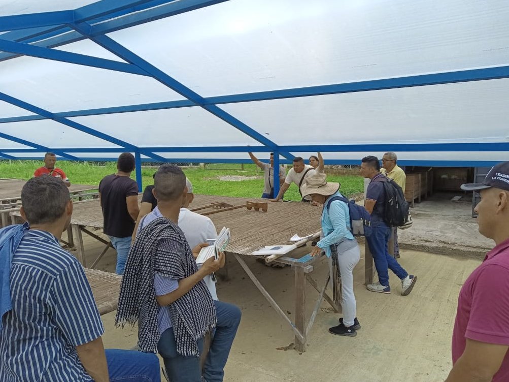 fedecacao's tweet photo. El cacao construye paz🕊️ en el Caquetá. Desde Fedecacao – Fondo Nacional del Cacao realizamos en El Doncello un curso técnico en manejo integrado del cultivo✅ con población firmante de paz y la asociación Comcap.👨‍🌾#Fedecacao https://t.co/O1QykOPfi1