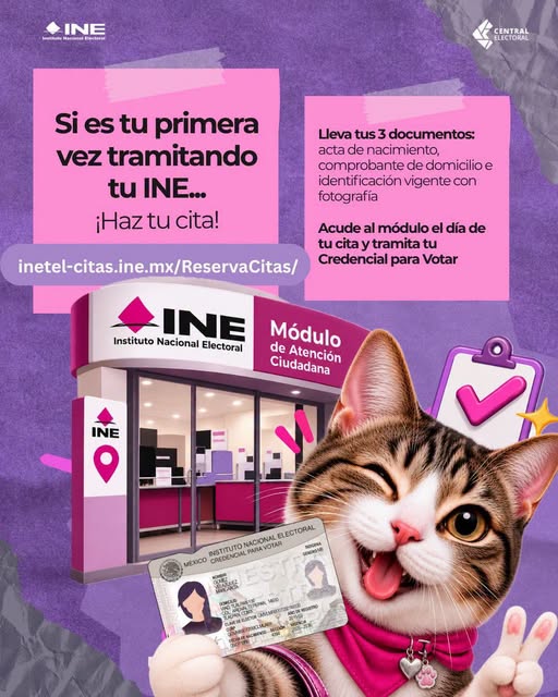 INE_Campeche's tweet photo. Si es la 1ra vez que vas a tramitar tu Credencial, ¡este aviso es para ti!
Haz tu cita en: https://t.co/EnWzAIRoUI y, al igual que este michi, ¡tendrás tu identificación oficial!
Lleva:
😺Acta de nacimiento
😺Comprobante de domicilio
😺Identificación vigente con fotografía
😺CURP https://t.co/BWIqBv5lBb