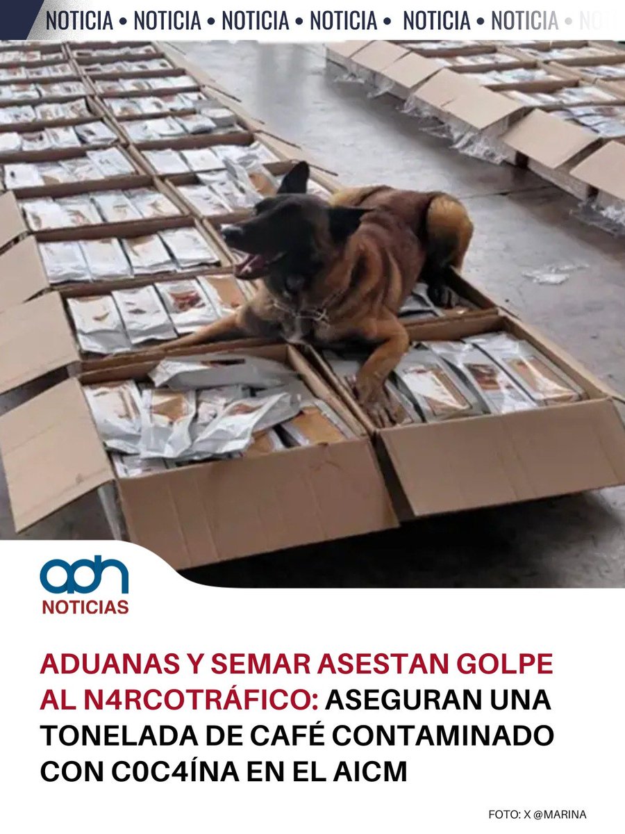 adnnoticiasmx's tweet photo. #OGH ⚠️ Elementos de fuerzas federales y de la Agencia Nacional de Aduanas de México detuvieron un cargamento de café contaminado con cocaína en el AICM.
‼️Con el apoyo de un binomio canino, los oficiales detectaron un cargamento de aproximadamente una tonelada de café tostado y molido, sin embargo, al hacer la revisión de las 3 mil bolsas empaquetadas, se encontró la droga escondida en los paquetes📦
