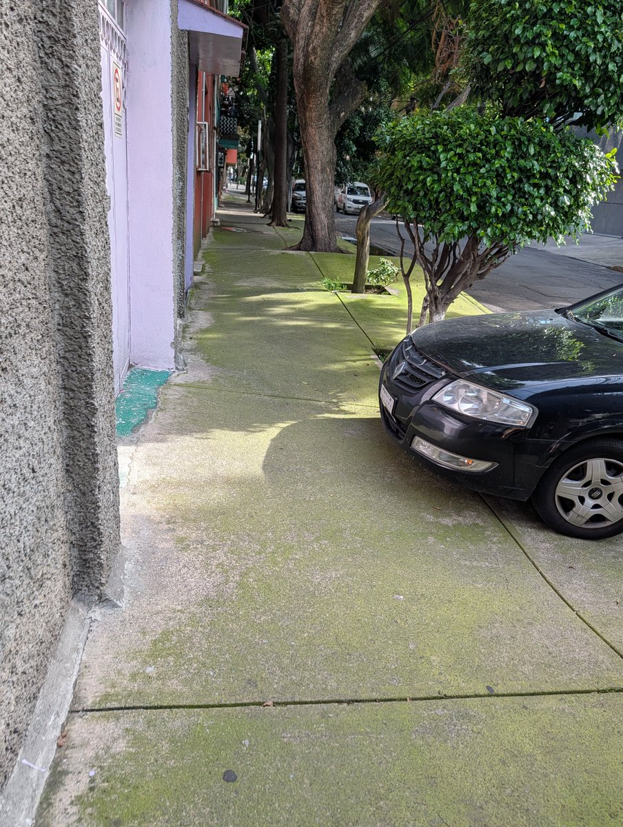 Cannibalistico's tweet photo. @UCS_GCDMX @C5_CDMX @UCS_GCDMX misma calle y todos los días ... https://t.co/1pnBHbJMJA