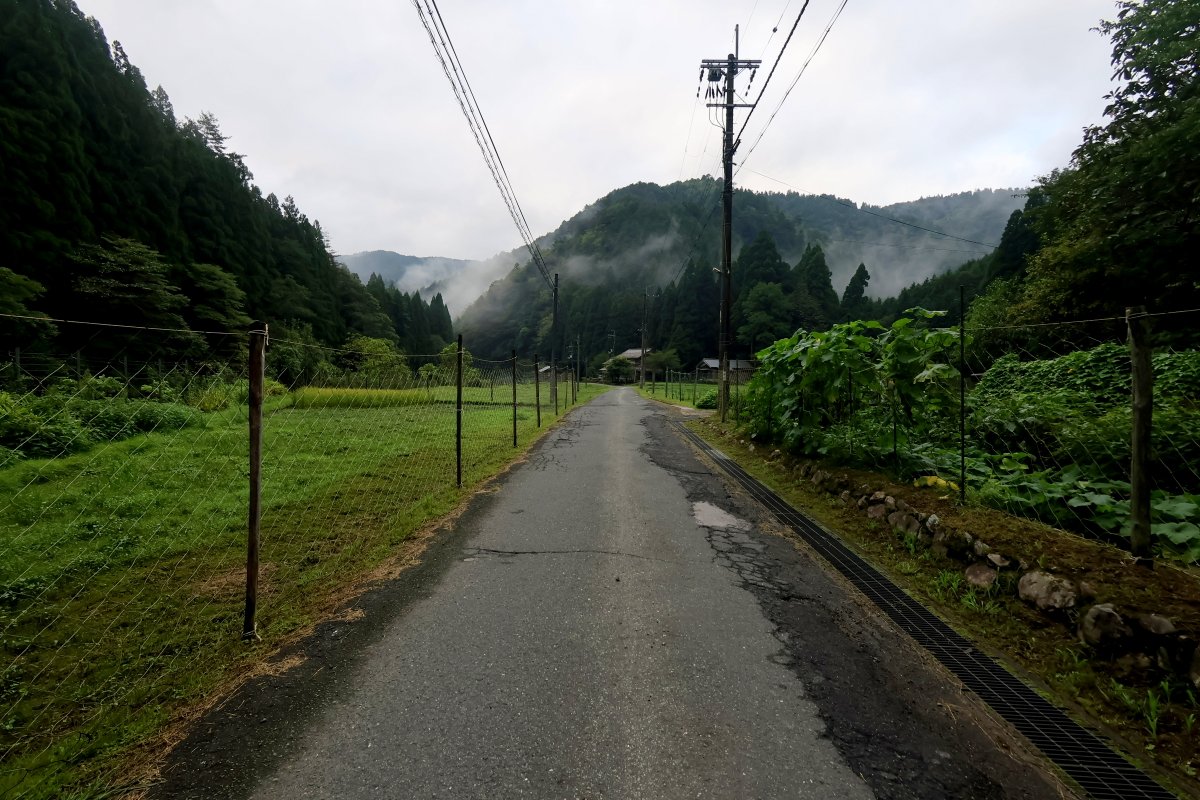 kutukikogawa's tweet photo. あさイチの下針畑https://t.co/lR4UdOkOMZ。雨上がりの朝��、これから晴れるとも。農的庭の朝。 #舎暮らし #針畑川 #針畑 #朽木 #滋賀県 #japan📷📷#朽木漁協組合 #自然 #天気 #写真 #鯖街道を歩く #あさイチ #countrysidelife #countryside #田舎生活 #秋雨前線 #田舎と都会 #農的庭 #朝顔 https://t.co/6VuqcEU9uq