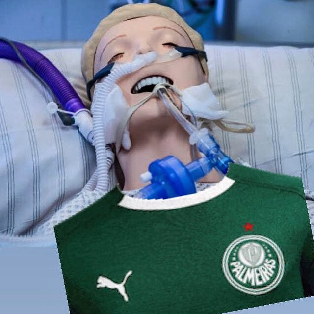 parmeramilgrau's tweet photo. Torcida e elenco do Palmeiras com 19 minutos de jogo na altitude https://t.co/199Id7GImh