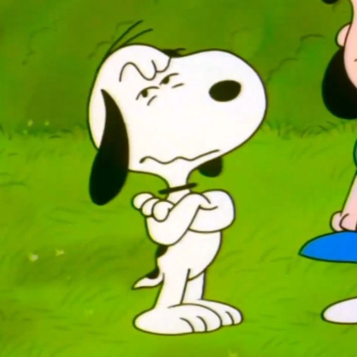 DailySnoopys's tweet photo. DON'T get on his bad side. https://t.co/wulEy7m2UF