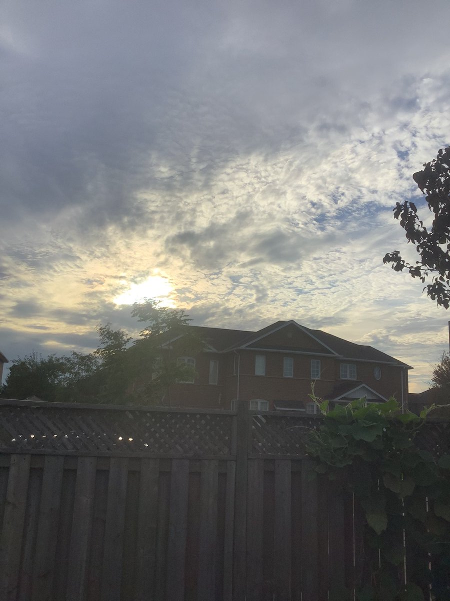 Susan12214's tweet photo. After six pm tonight…sun is moving down…🇨🇦🩶🤍🍂🌾🍁🍃🍂🌾🍁🇨🇦😎 https://t.co/ocbnggJEVU