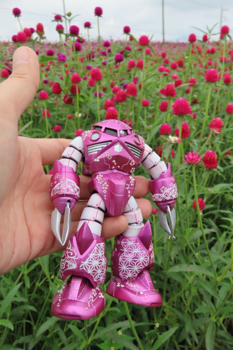 8fYKCyd4qyUrVDi's tweet photo. さくらズゴックと千日紅
#ガンプラ https://t.co/ukJl13TNco