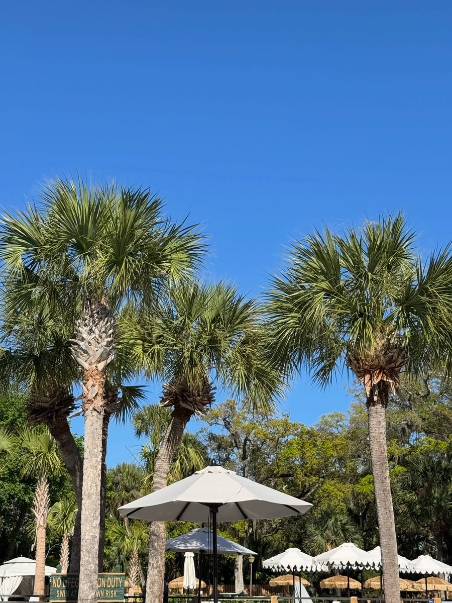 kc_doubletake's tweet photo. A weekend in Hilton Head🌴 https://t.co/dWZKLC7PFE