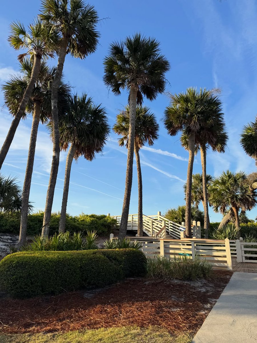 kc_doubletake's tweet photo. A weekend in Hilton Head🌴 https://t.co/dWZKLC7PFE