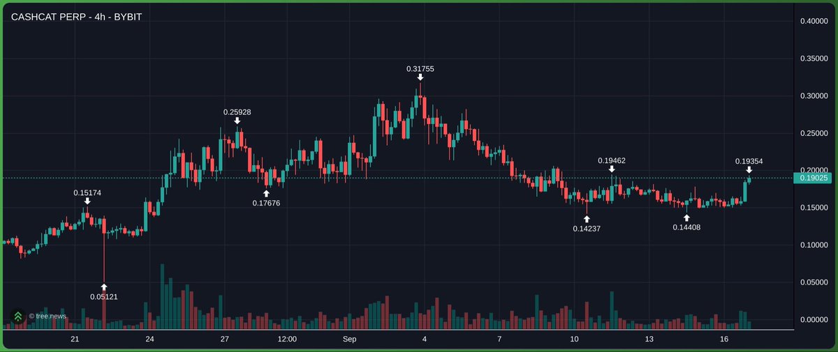 solbrdl's tweet photo. $CASHCAT slowly climbing up again. 

This will lead for the upcoming Robinhood season. 

Arc, stonk and pump fun took liquidity temporarily, but cashcat is here to lead again. 

Bottom on all Robinhood coins. https://t.co/eRFrlkocrp