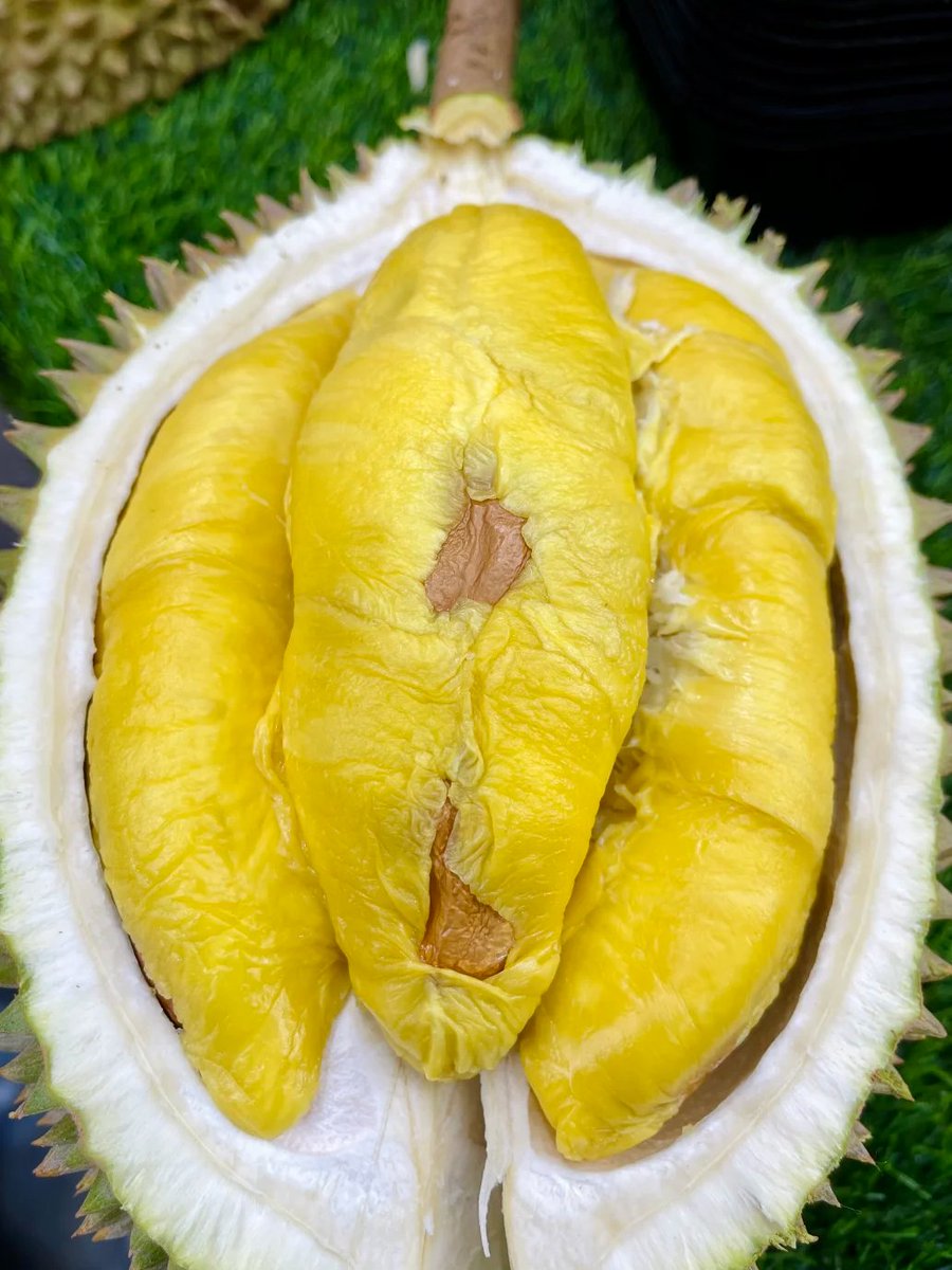 kalpanatzSI's tweet photo. One thing I really like about this place is that it’s open 24 hours a day. So whenever I’m craving durian, I can come by anytime without worrying that it’s too late or that all the good ones have already been picked over https://t.co/UOP0vOglpn