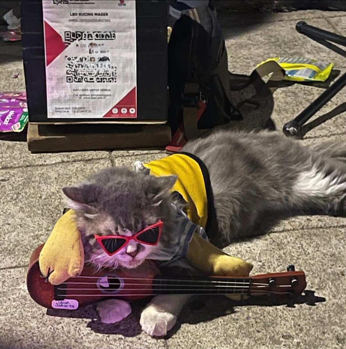 KapudS640's tweet photo. Denger-denger kucing cakep ini sampai ditendang dan diseret sama ownernya 😭

Katanya juga “dipaksa” ngamen dan dikasih makan seadanya.

Warga, menurut kalian gimana? Kalau owner kayak gini dihubungi shelter, kayaknya belum tentu mau kasih karena kucing ini udah jadi sumber pendapatan dia.

Yang udah lapor polisi juga ada, tapi gue jadi penasaran, di Indonesia kasus kayak gini bisa nggak sih ditangani dengan cepat? 😭